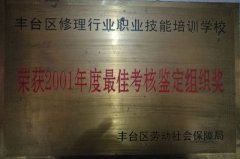 艹艹艹大骚逼